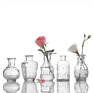 Glass Mini Vase Set Vintage Style Clear Centerpiece Decor set of 5